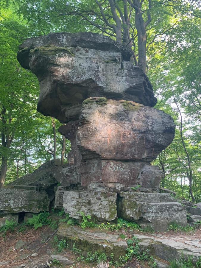 Schronisko Gorskie Pttk Na Jaworzynie Krynickiej Krynica Zdroj Exterior photo